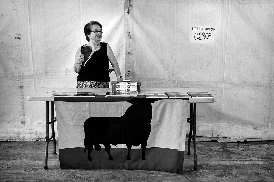 A woman behind a table draped with a flag showing a bull silhouette.
